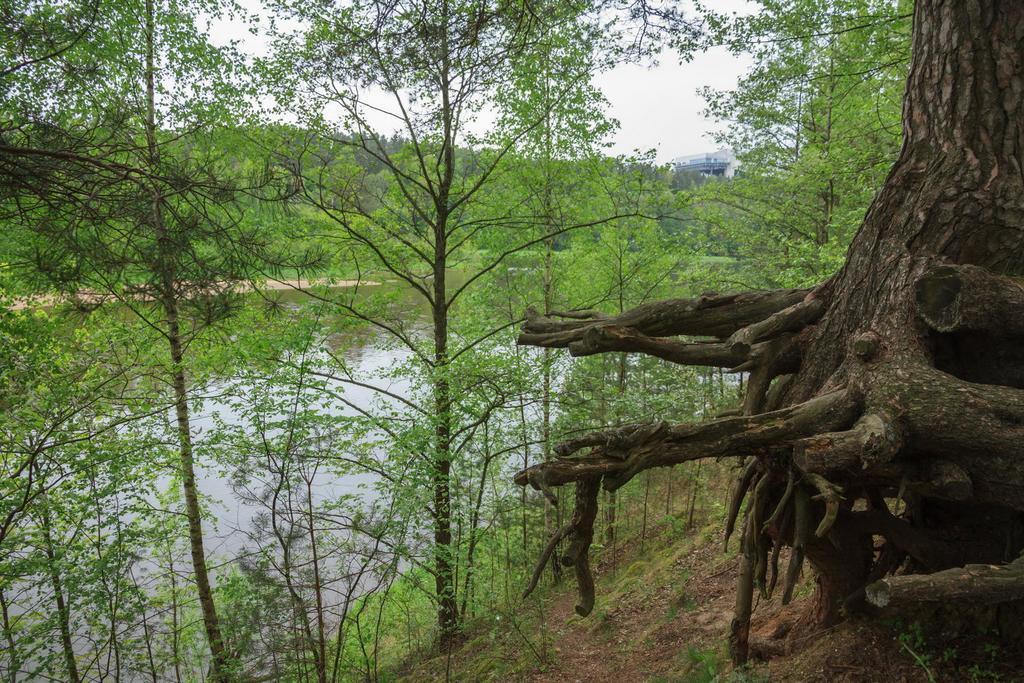 Butas Prie Nemuno Hotel Druskininkai Luaran gambar